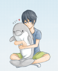 Haru-chan's Dolphin