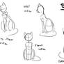 TUTORIAL - How to Draw a Cat - Sit Position