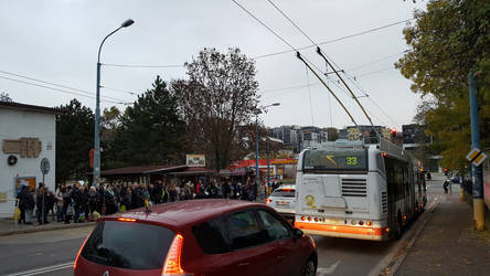 Trolleybus at Molecova
