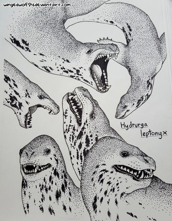 How To Draw A Leopard Seal Step By Step