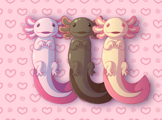 Axolotls Gif By Wingedwolf94 On Deviantart Axolotls Gif By Wingedwolf94 On Deviantart