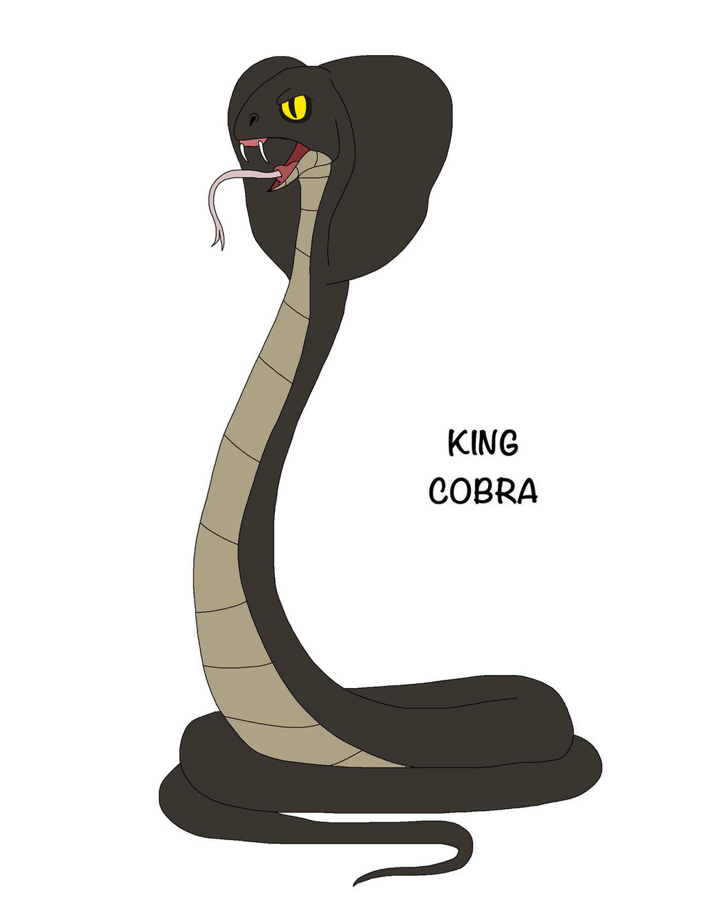 King Cobra by DARKSEELSTUDIO on DeviantArt