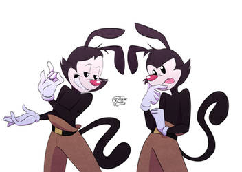 Just Yakko