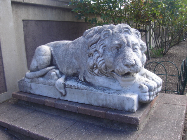 Stone Lion 7