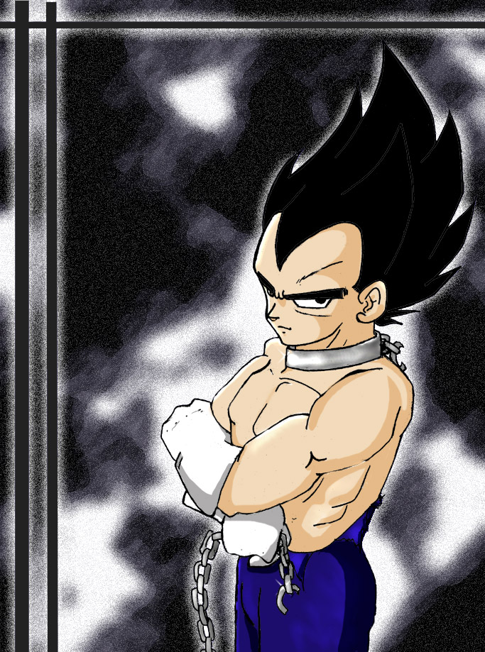 Slave Vegeta you wish