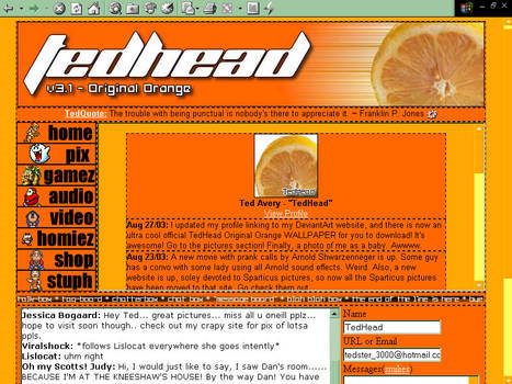 TedHead Original Orange 3-1