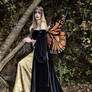 Monarch Fairy