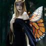 Monarch Fairy 2