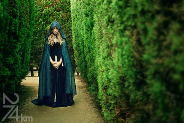 Princess and the labyrinth 8