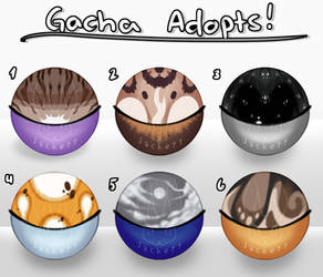 Cat Gacha adopts - [OPEN] (Warrior Cat Adopts)