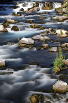 Malad River