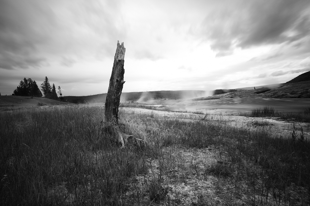 Firehole River Valley