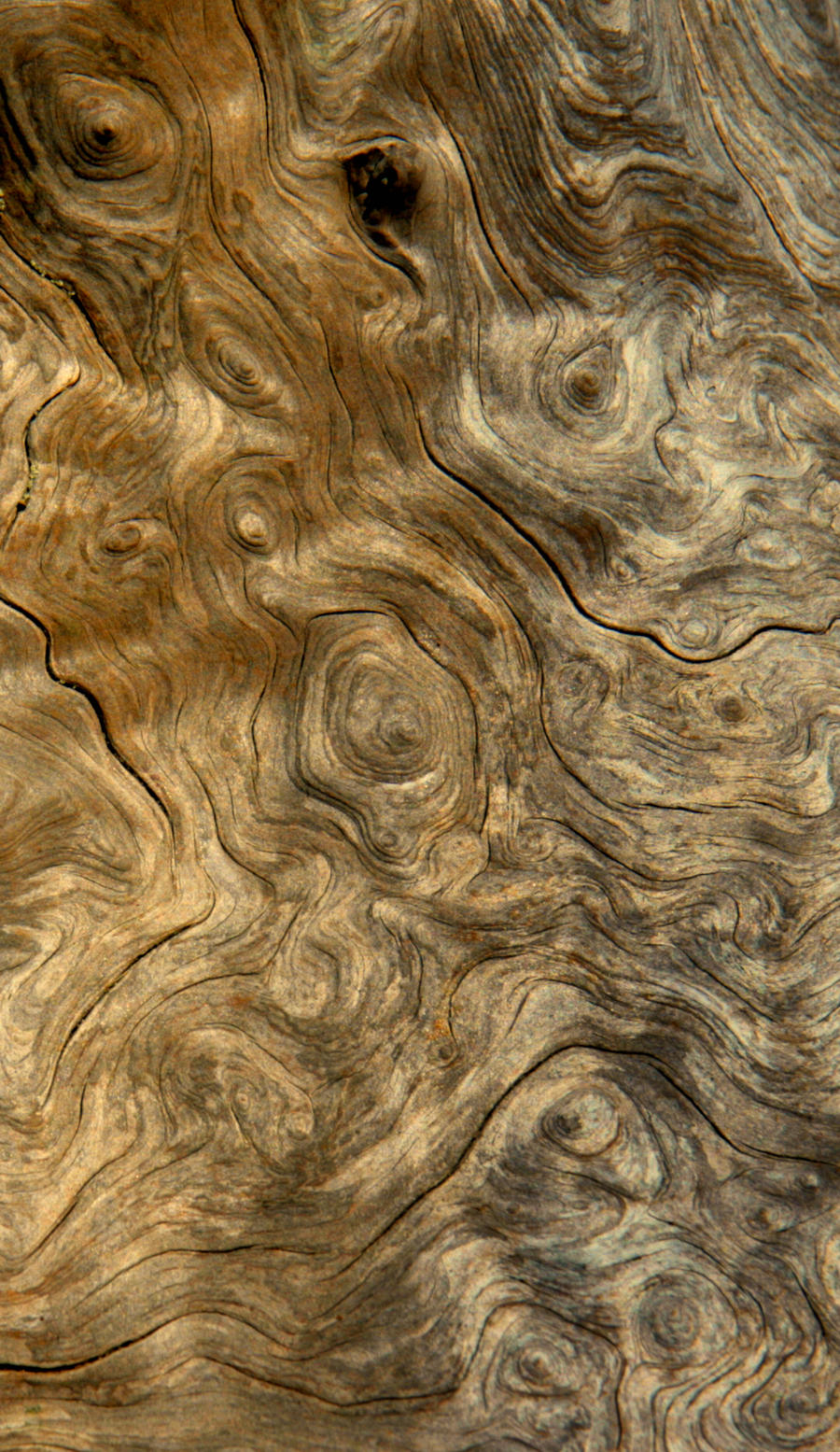Wood Stock 1