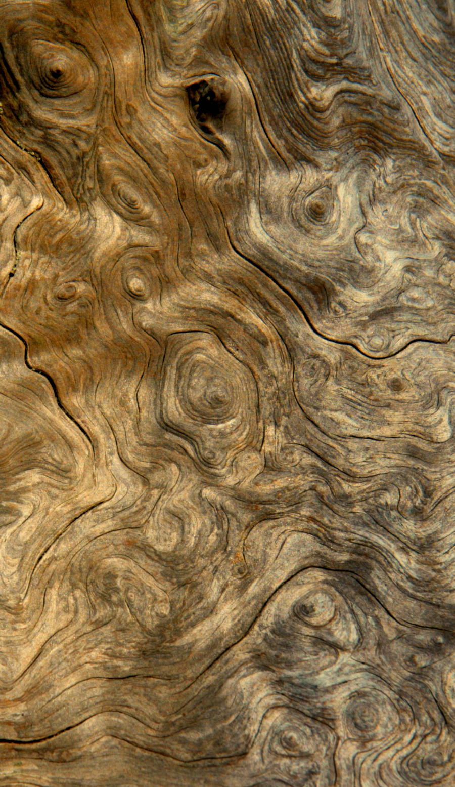 Wood Stock 1 by Moonchilde-Stock
