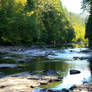 River Stock 1