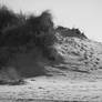 Dune Stock BW