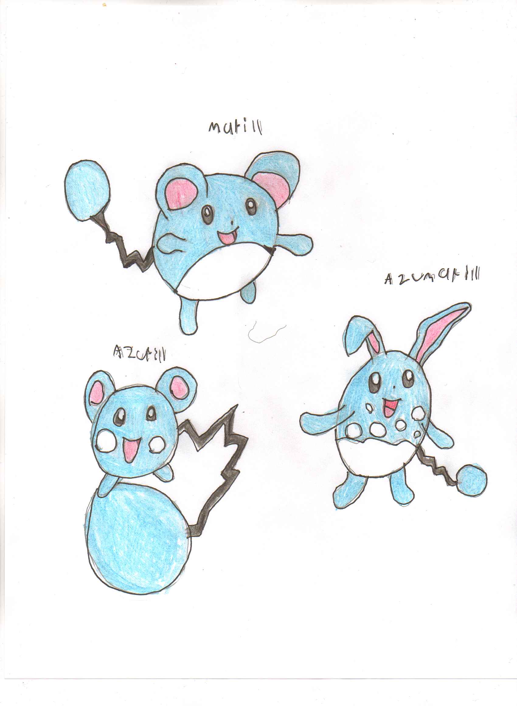 Azumaril Evolution Line Azurill Pokemon Evolution