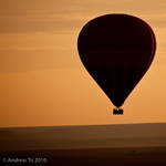 B A L L O O N by AndrewToPhotography