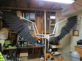 Wings-Update