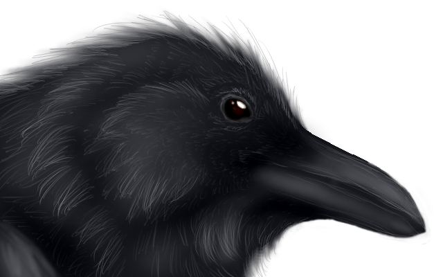 Raven for RealAlike