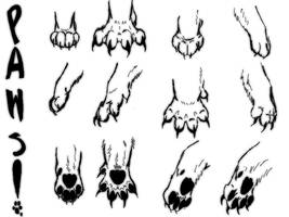 Practicing Paws