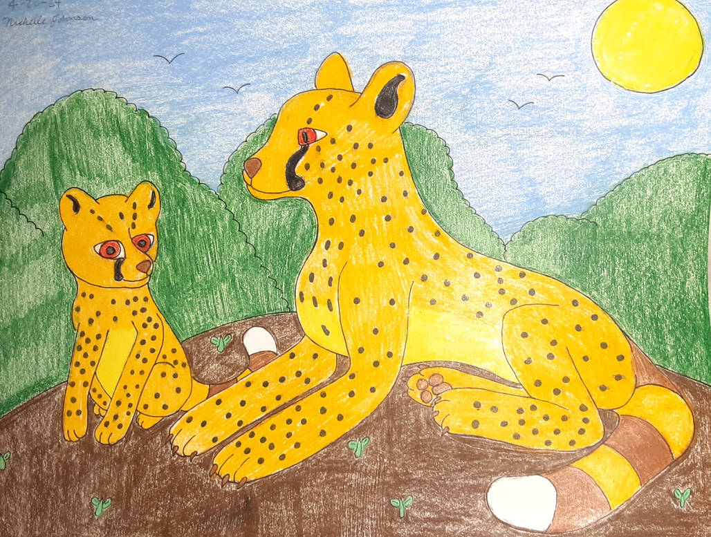Cheetahs Sketch