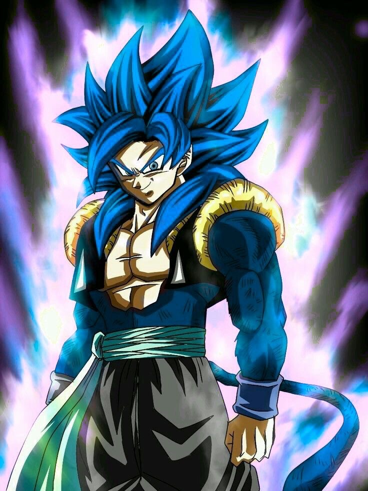 Super Saiyan 4 Gogeta Meets Super Saiyan Blue Gogeta AFTER Dragon Ball  Super 