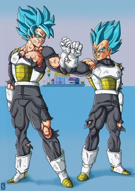 Goku and vegeta (same clothes) (ssj blue) teamwork by GokuGohanFan on  DeviantArt