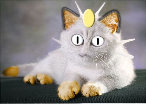 Real Meowth By Chribity On DeviantArt real-meowth-by-chribity-on-deviantart