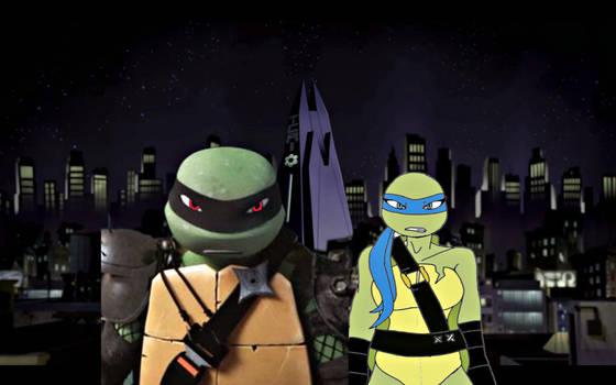 TMNT: Partners in crime 