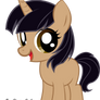 Itzel pony