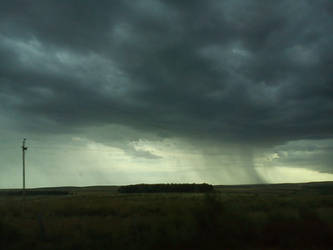 Watching the storm