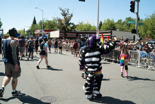 Drako at Pride 2019