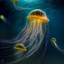 Jellyfish under water 15