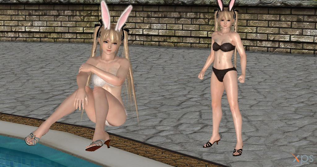 Dead or alive Marie Rose Bunny ( downloads link )