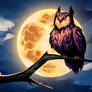 Night owl