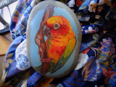 Sun Conure Rock