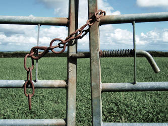 Country Life - LOCKED.