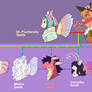 MLPNG: Fluttershy's Family Tree