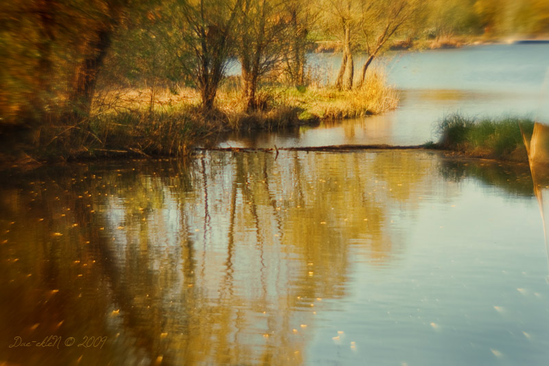 Spring Colored by Autumn