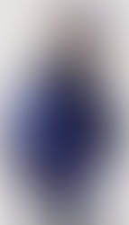 Ebony Scrooge (Blueberry)