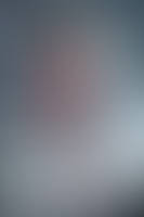 Stormy Trix (Ai Generated)