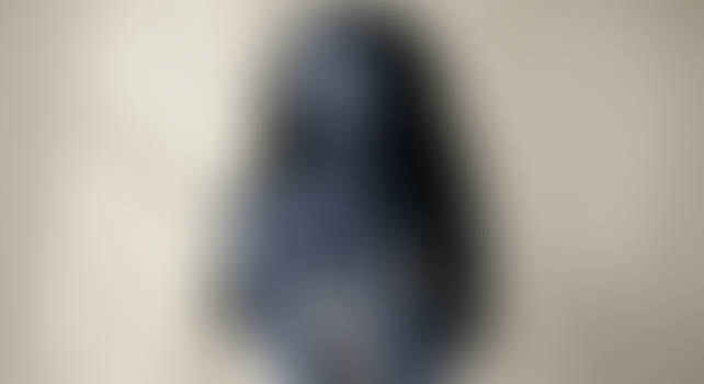 Asian (Blueberry) (Ai Generated)