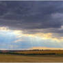 Salisbury Plain landscape 