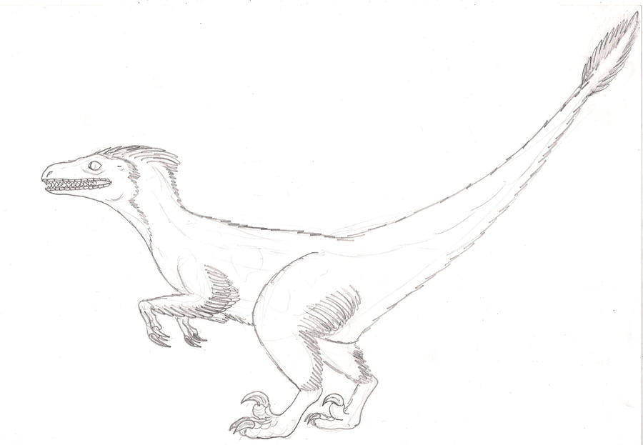 Utah Raptor Outlines Utahraptor - skecth by Gris93 on DeviantArt