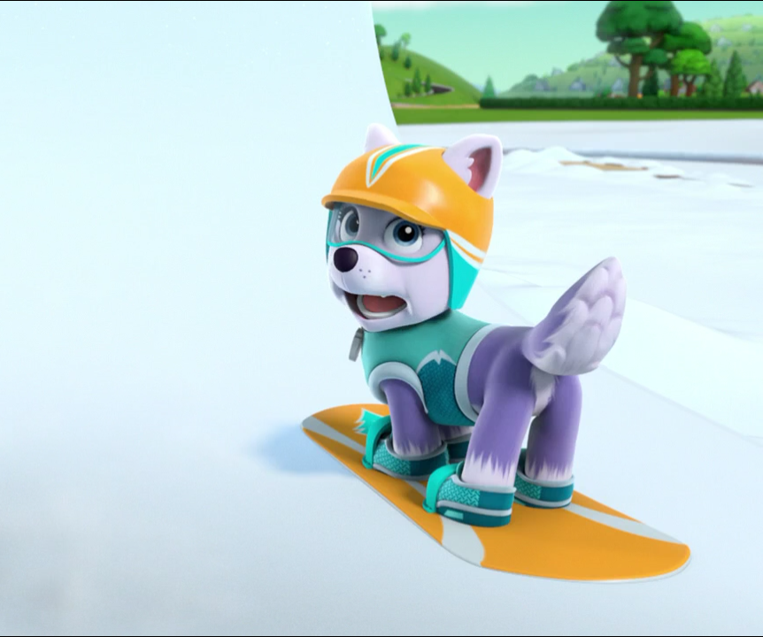 Paw patrol everest 2024 snowboard