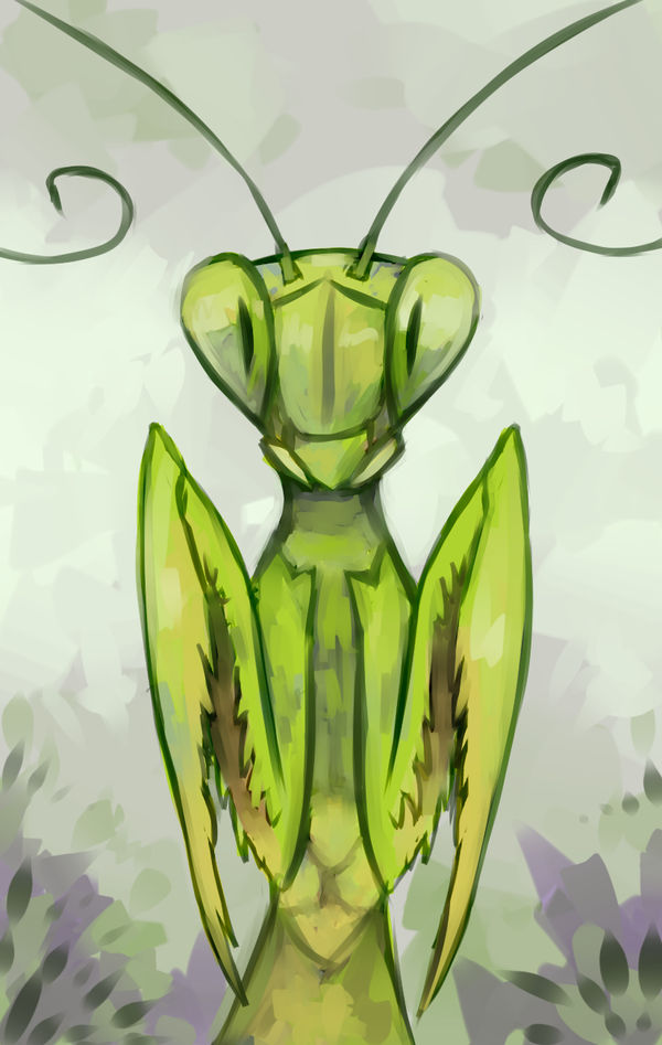Mantis Digimon Praying Mantis by SushiGryphon on DeviantArt