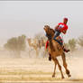 Camel Race