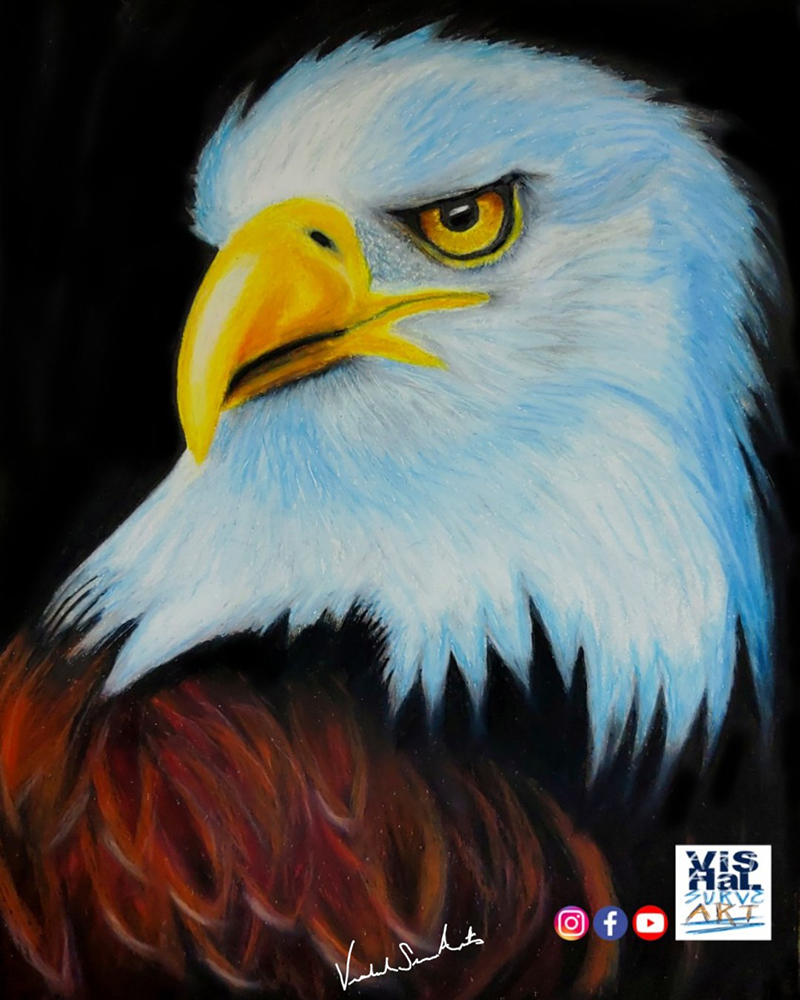 Bald Eagle Oil Pastel by vishalsurvearts on DeviantArt Bald Eagle Oil Pastel by vishalsurvearts on DeviantArt