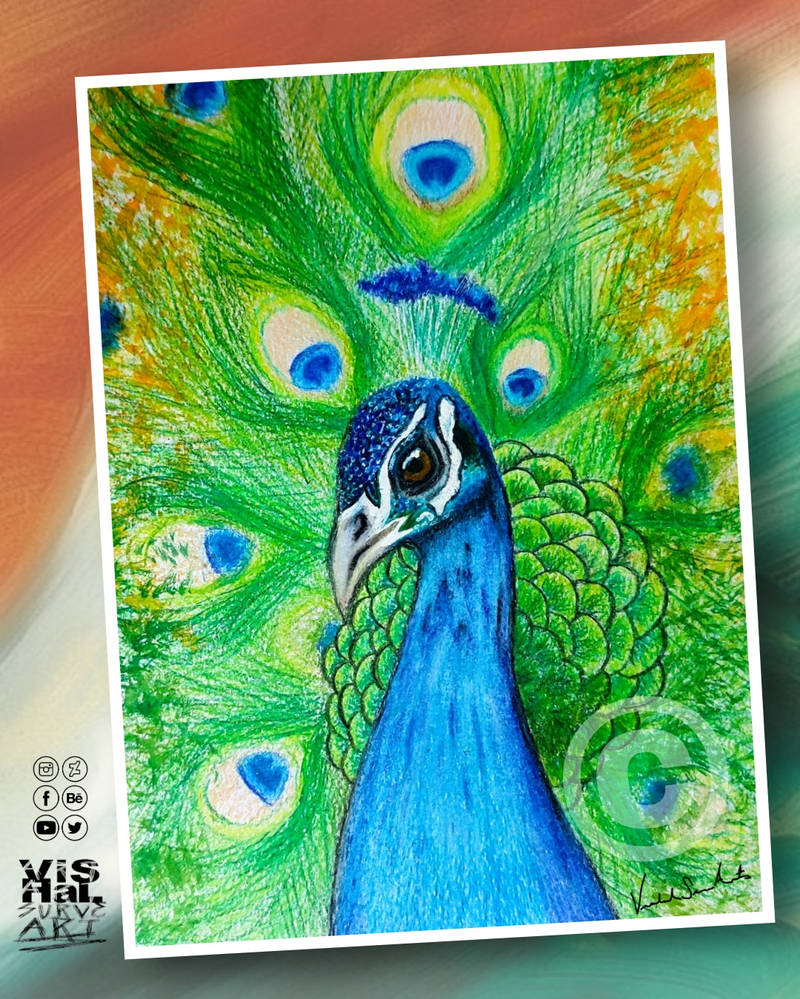 Peacock Colorpencil sketch by vishalsurvearts on DeviantArt